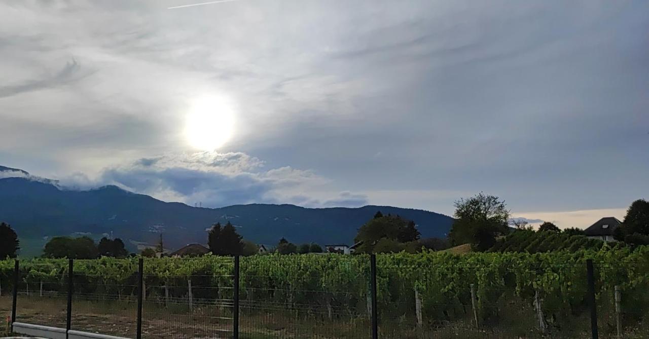 Chambre Au Coeur Des Vignes Myans 外观 照片